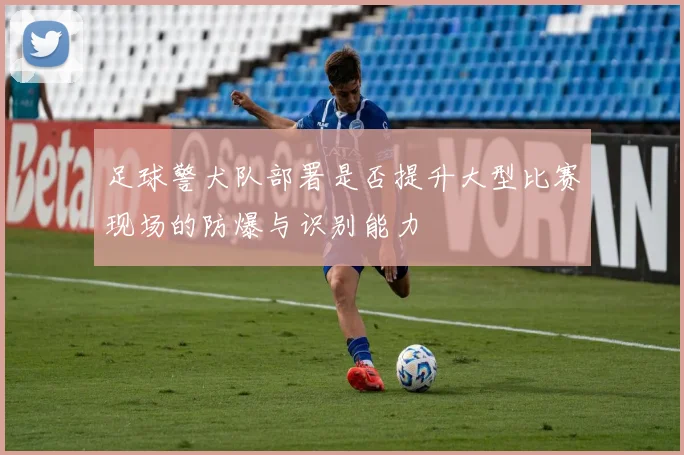 足球警犬队部署是否提升大型比赛现场的防爆与识别能力