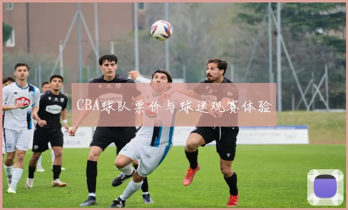 CBA球队票价与球迷观赛体验