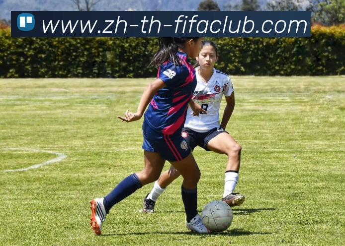 世界杯买球品牌故事