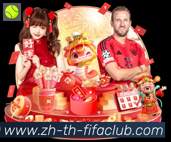 未来规划