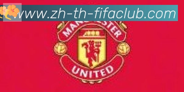 世界杯买球合作伙伴